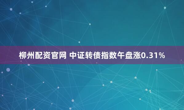 柳州配资官网 中证转债指数午盘涨0.31%